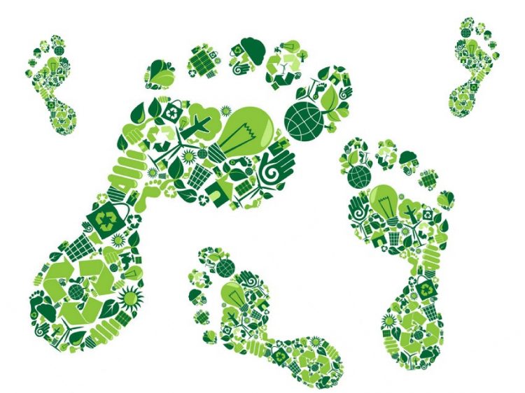 Integra CEE comprometida con el medio ambiente y la reducción de sus emisiones de dióxido de carbono